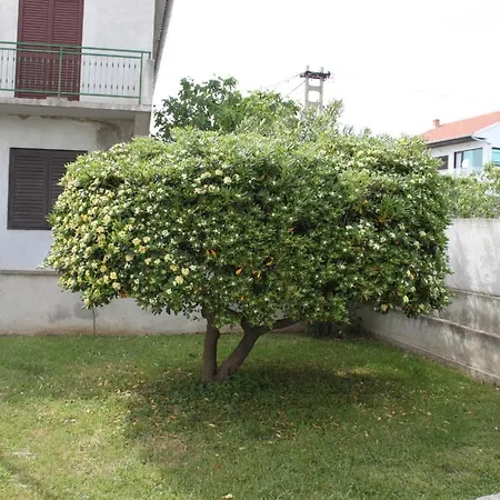 Apartments And Rooms By The Sea Vodice - 6182