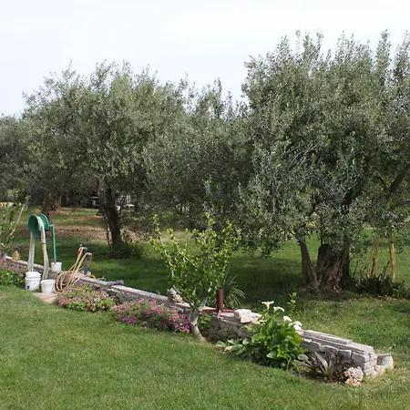 Apartments And Rooms By The Sea Vodice - 6182 Vodice