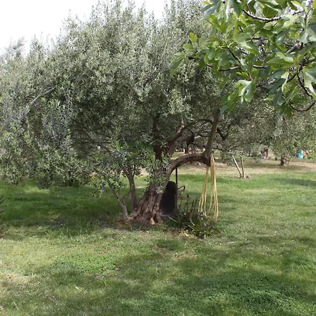 Gasthuis And By The Sea - 6182 3*