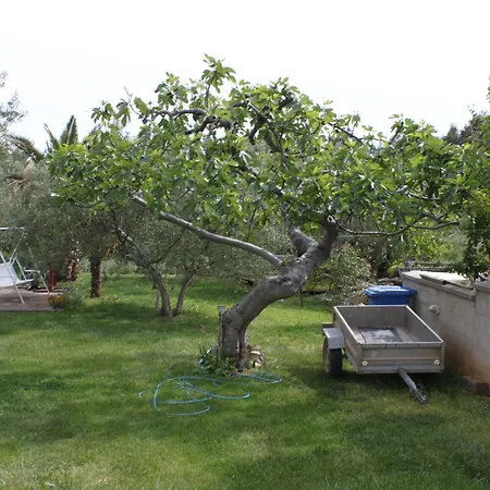 Apartments And Rooms By The Sea Vodice - 6182