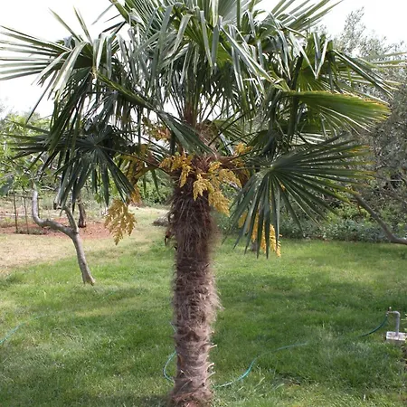 Apartments And Rooms By The Sea Vodice - 6182 3*