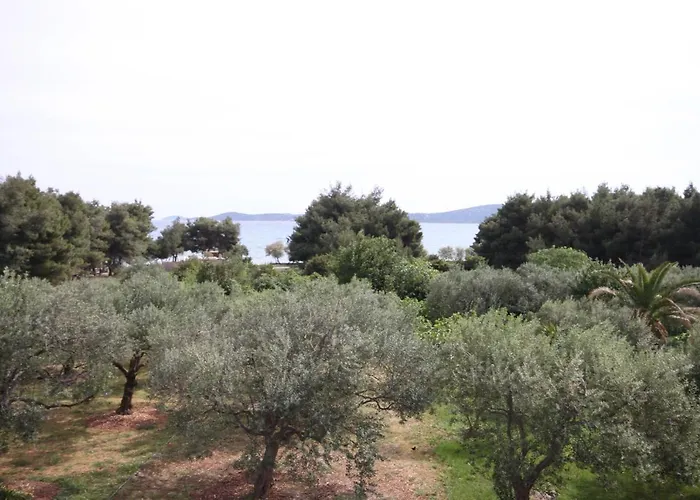 Guest house Apartments And Rooms By The Sea Vodice - 6182 3*