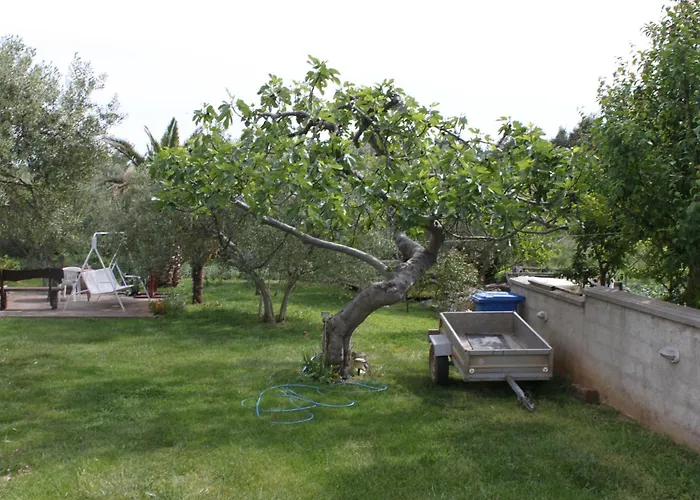 Apartments And Rooms By The Sea Vodice - 6182