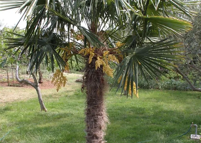 And By The Sea - 6182 3*